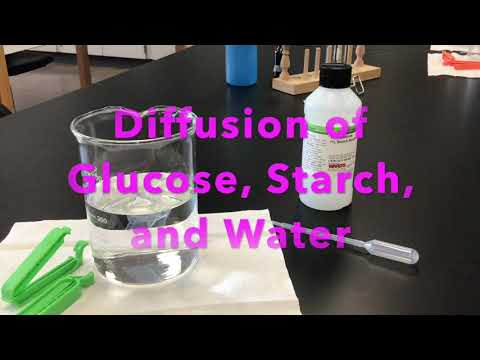 image-Can gas diffusion electrodes be used with non-aqueous solvents?