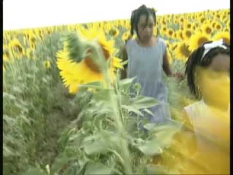 Eduardo Paim - O Que Sonhei (Official Clip)