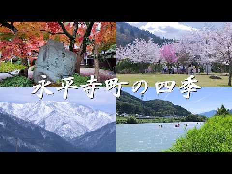【四季の風景】永平寺町の四季折々の自然（福井県永平寺町）