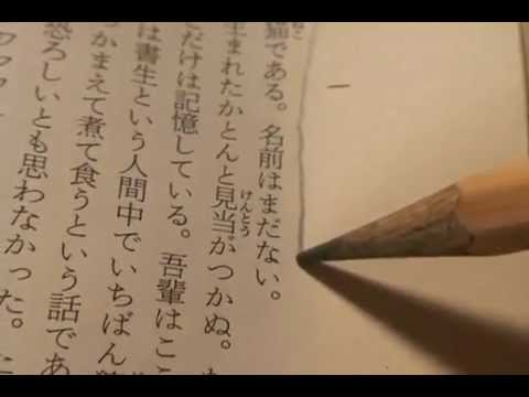 芸術学科 ISMIE2011選抜作品：成安造形大学「恋情蔵書印」
