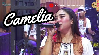 Download lagu CAMELIA || MAMIKEY - KEY’S PARTY MUSIC LIVE SEASON ANGKRINGAN TEH ITA mp3 Download lagu CAMELIA || MAMIKEY - KEY’S PARTY MUSIC LIVE SEASON ANGKRINGAN TEH ITA mp3