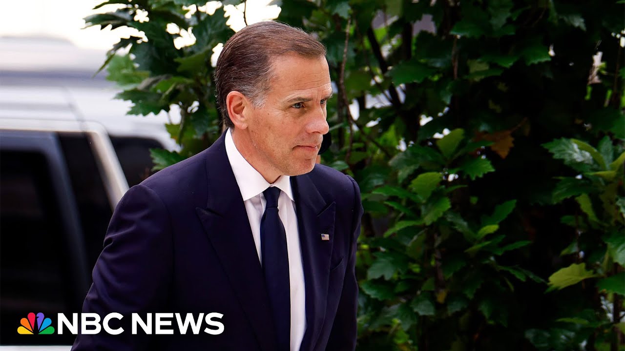 'I'm pretty angry': Dem. lawmaker on Biden's claim of politicized justice system in Hunter pardon