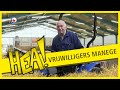 HEA! Vrijwilligers van de manege