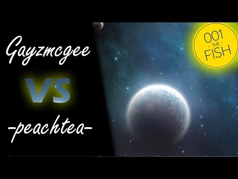 Gayzmcgee vs -peachtea-! // Spriggan - Valkyrie Dimension