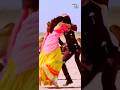 Saree Ke Fall Sa Song Status | R...Rajkumar | Shahid Kapoor | Sonakshi Sinha #ytshorts #shorts #1