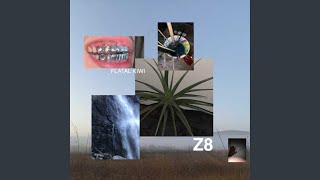 Fatal Kiwi Music Video