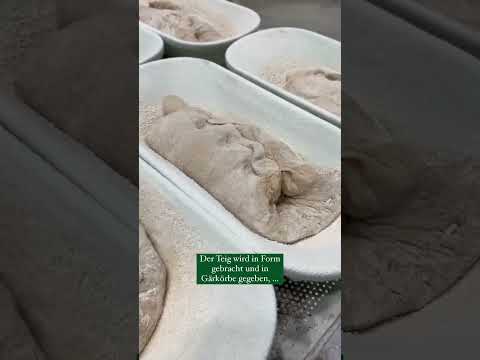 So wird die Elsässer Kruste gebacken