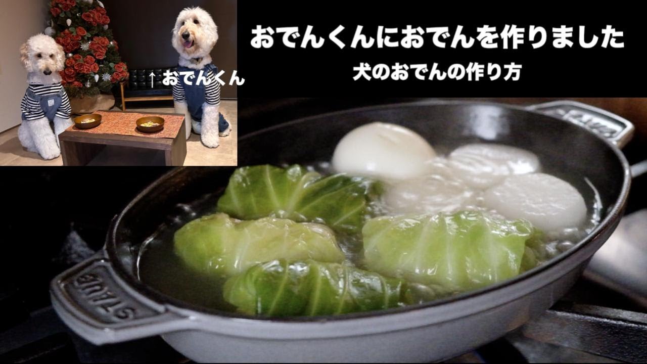 おでんくんにおでんを作りました【犬のおでん】犬手作りごはん