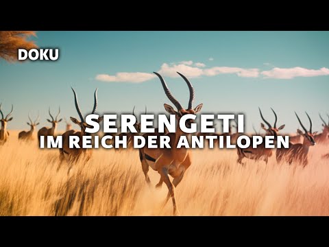 Serengeti – Im Reich der Antilopen (wundervolle Tierdoku | Serengeti Doku)