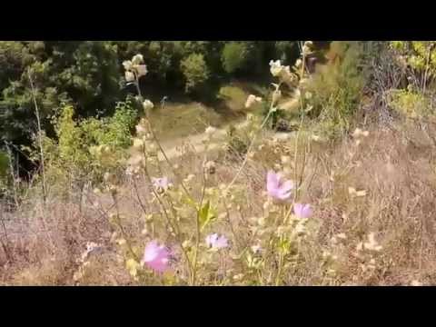 Poznaj Kresy - Kudryńce - Кудринці