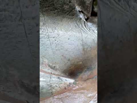 un video cortito de la hondura  saspan  san jose la arada chiquimula
