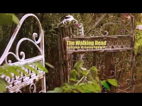 Walking Dead Season 6 Countdown: 3 Days Left