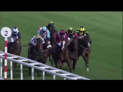 20180912 Global Applause wins The D C Training And Development Services Scarbrough Stakes (Class 1)