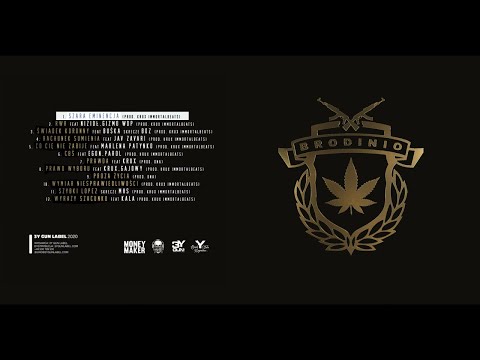 Brodinio - Szara Eminencja Prod.Krux ImmortalBeats
