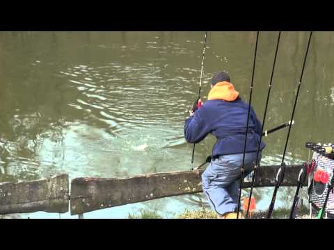 TFT Trout Fishing Tackle Tremarella Glas Montage - TFT Tremarella Ruten Angeln