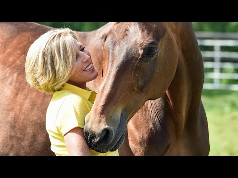 Alte Helden: Shutterfly