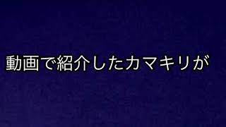 いいたいことがあります