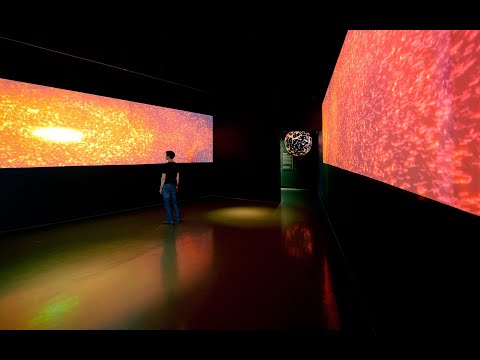 DARWINEUM Rostock Zoo