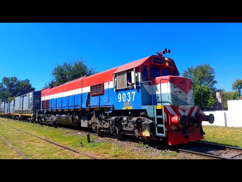 [4K] Lindo, variado y colorido tren vacio de NCA pasando por Marcos Juárez rumbo al oeste!!!!!!