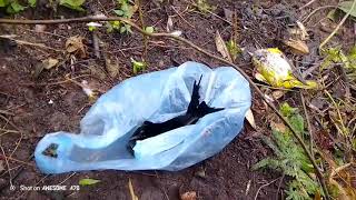 ຈອບຍິງນົກຍາມເຊົ້າອາກາດໜາວ