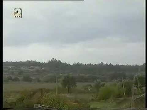 Oliveira do Bairro no programa Horizontes da Memória