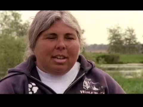 The wonderful world of cats Full Documentary