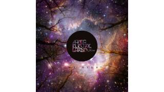 Panda Electric Garden - The High (Original Mix) [feat. Alice Jacq]