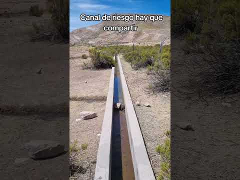 canal de riego aquí en #Curahuara_de_Carangas #Oruro #Bolivia