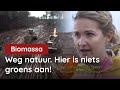 Niet uit te leggen! Biomassa leidt tot grootschalige vernietiging van bossen!