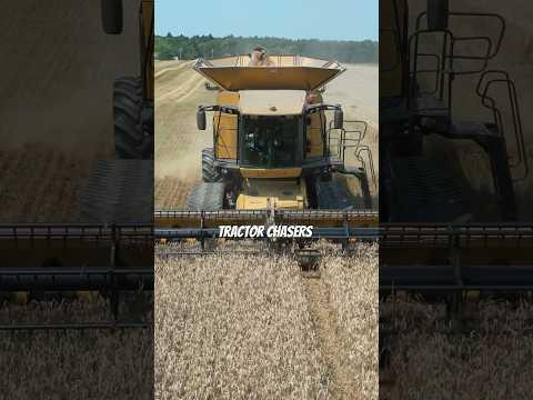 Cat Lexion Combine #tractorvideo #farmequipment