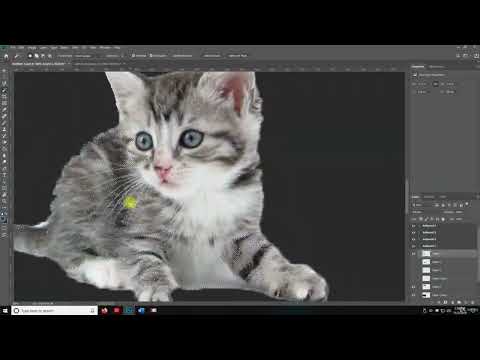 1 Setup Account Download ADOBE CREATIVE CLOUD ADOBE PHOTOSHOP PROFESSIONAL EDITING COURSE