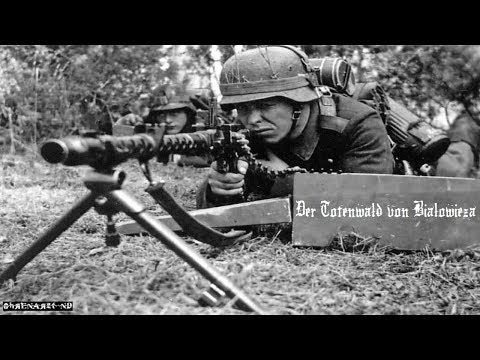 Hörbuch - Der Totenwald von Bialowieza