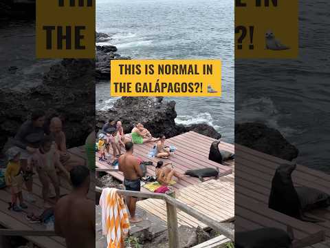 San Cristóbal Island, Galápagos 🦭🌊