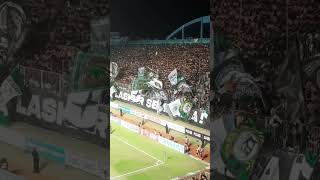 Download lagu BIANCO VERDE ALE mp3