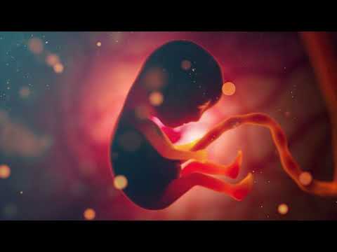 Mrekullia e kordonit umbelikal gjate kohes kur femija eshte ne barkun e nenes.