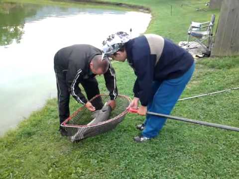 Robert&Andrej ribita