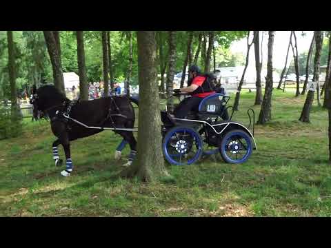 Fahrturnier Alfhausen 22.5.2022