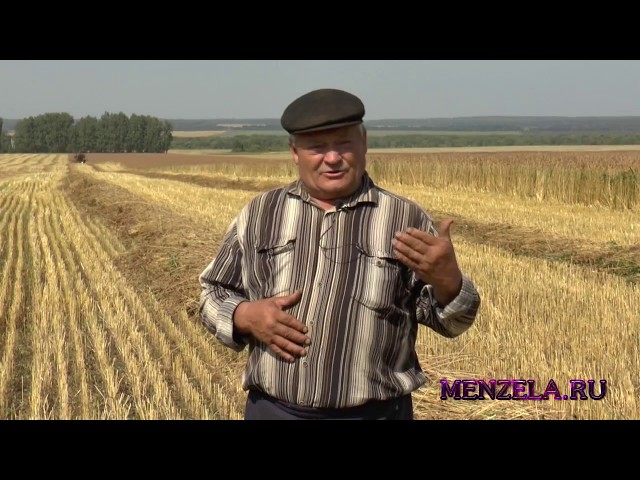 Мензелинец Геннадий Маслаков своё 70 летие встречает на своём поле. Работая! 