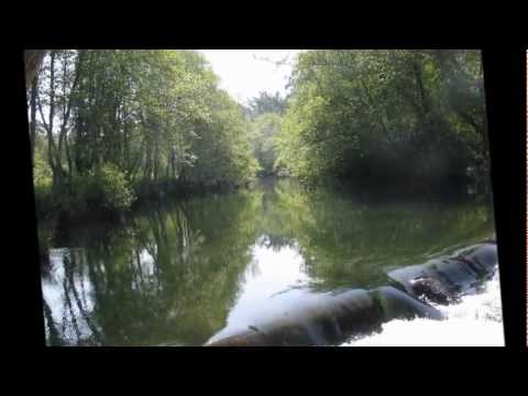 Unidos das Vargens 2013 - Samba 6 - Fred Lima e Roberto Dias - Part. Esp.: Renato Daniel
