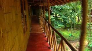 Pepper Green Village, Wayanad