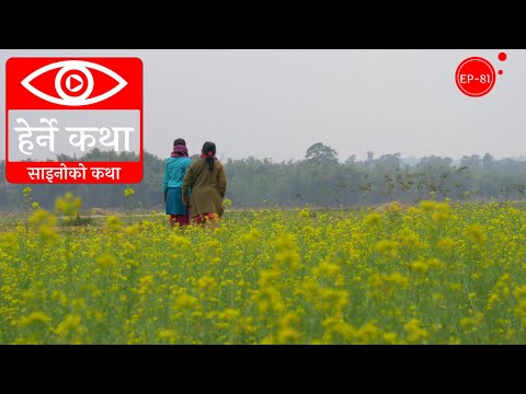 साइनोको कथा | Sainoko Katha | Herne Katha EP81 | हेर्ने कथा