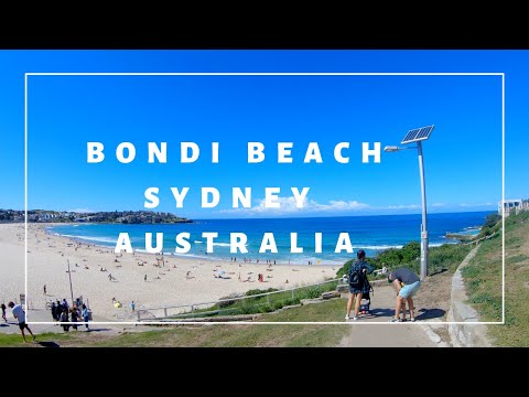 Day At Bondi Beach and a Coastal Walk | Australia 🦘 Video