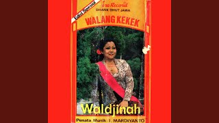 Download lagu Pak Dengkek, Kuwe Sempe, Kelap Kelip mp3 Download lagu Pak Dengkek, Kuwe Sempe, Kelap Kelip mp3