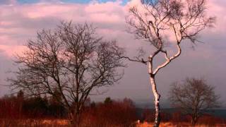 L'infidélité Miossec