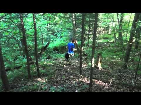 comment nettoyer ruisseau