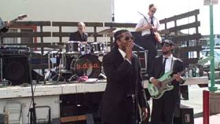 Anaconda Malt Liquor Theme Live