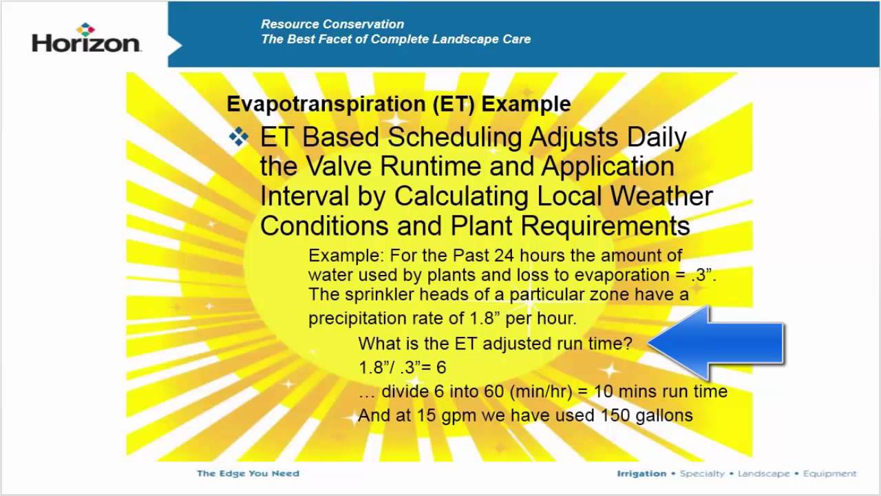 What is Evapotranspiration and How Does it Help Us Save Water?