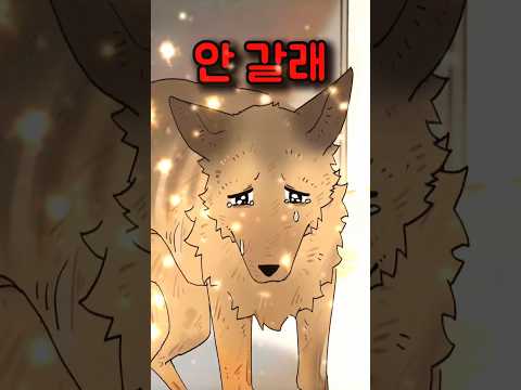 충견의 눈물. #고양이