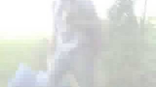 Banshee Beat-Animal Collective