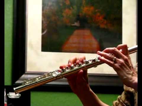 Di Zhao Sterling Silver (Head, Body and Foot) Flute (DZ600) - Demo of High Register